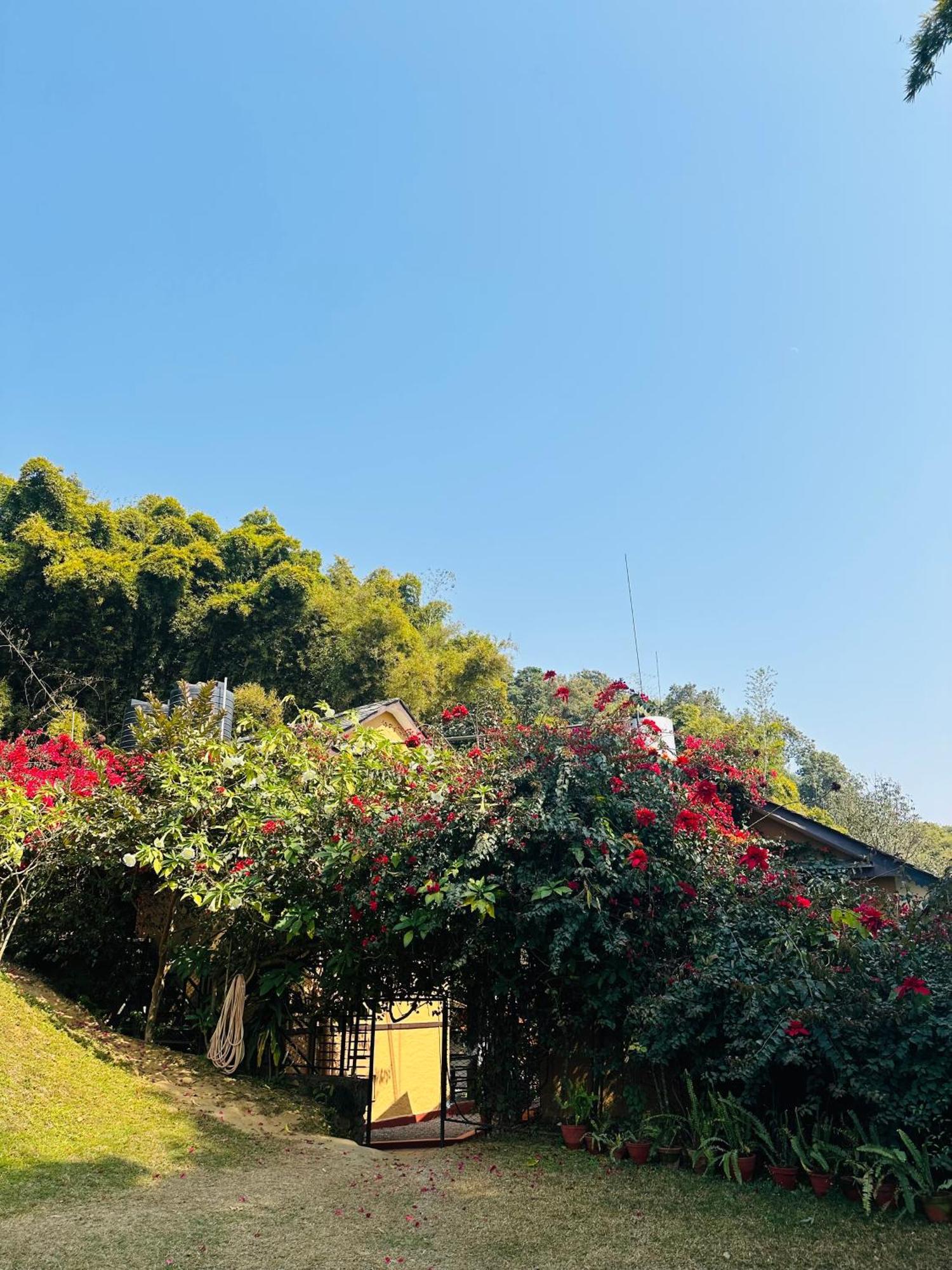 Homeland Forest Villa Pokhara Exterior photo