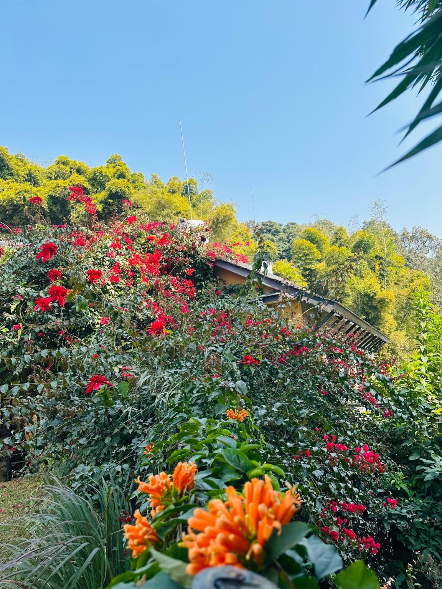 Homeland Forest Villa Pokhara Exterior photo