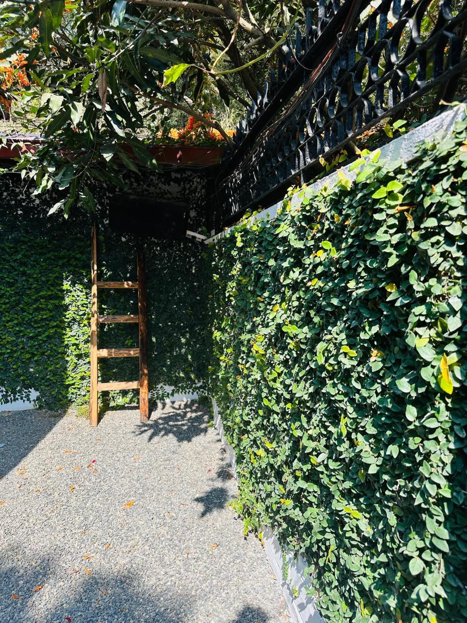 Homeland Forest Villa Pokhara Exterior photo