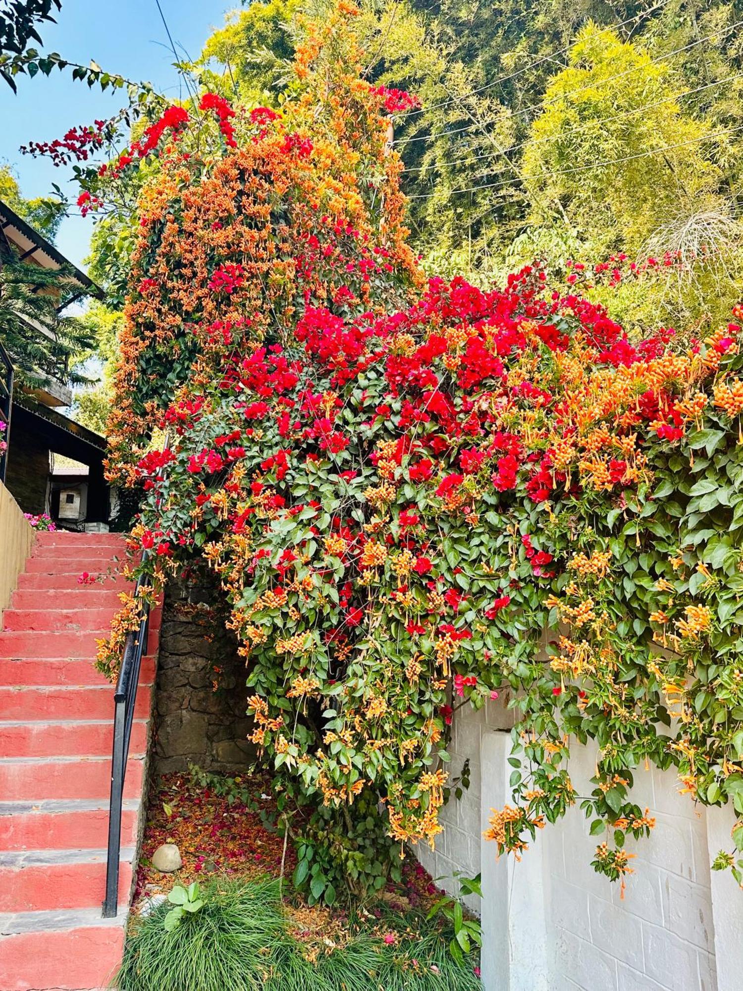 Homeland Forest Villa Pokhara Exterior photo