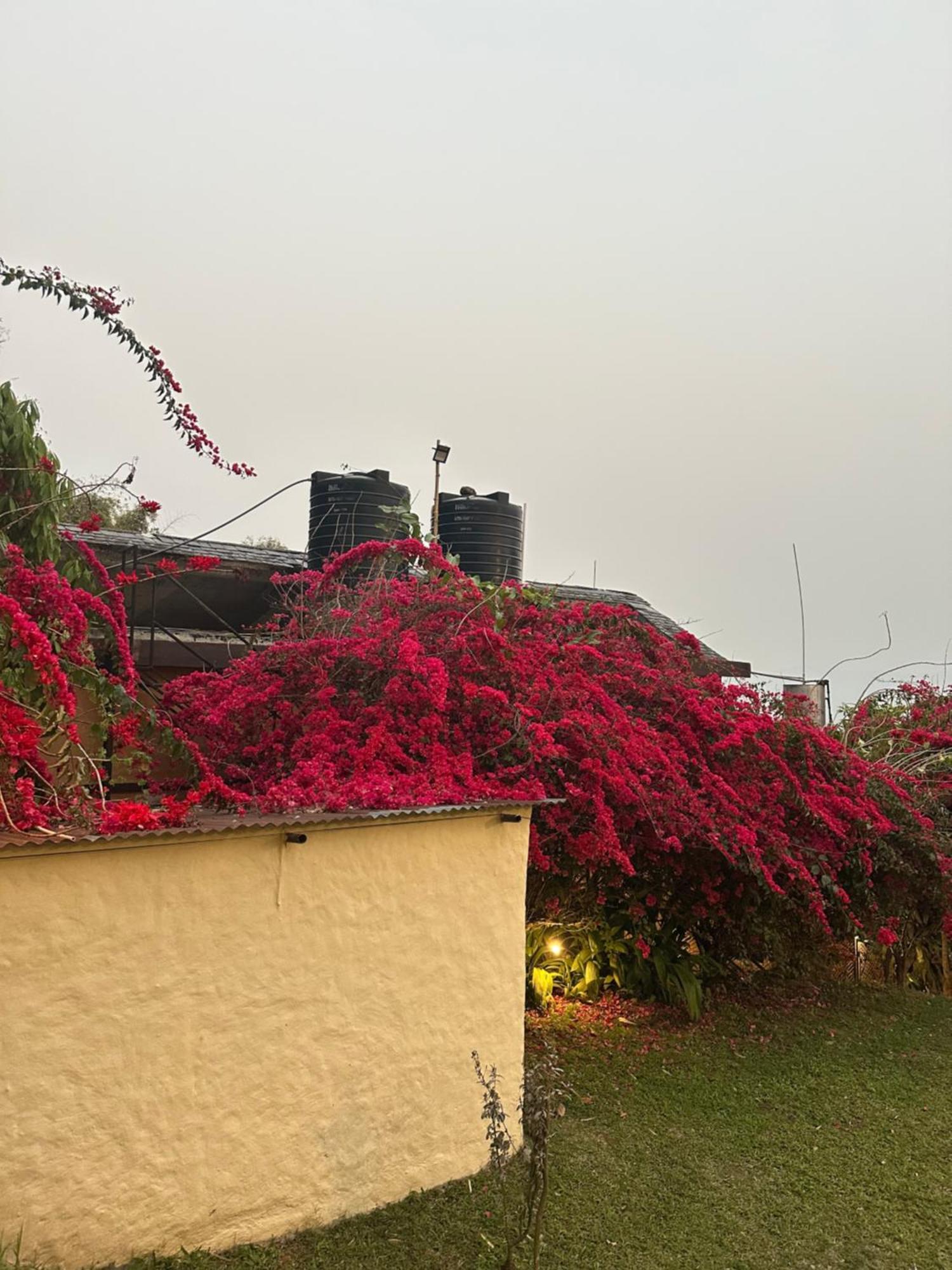 Homeland Forest Villa Pokhara Exterior photo