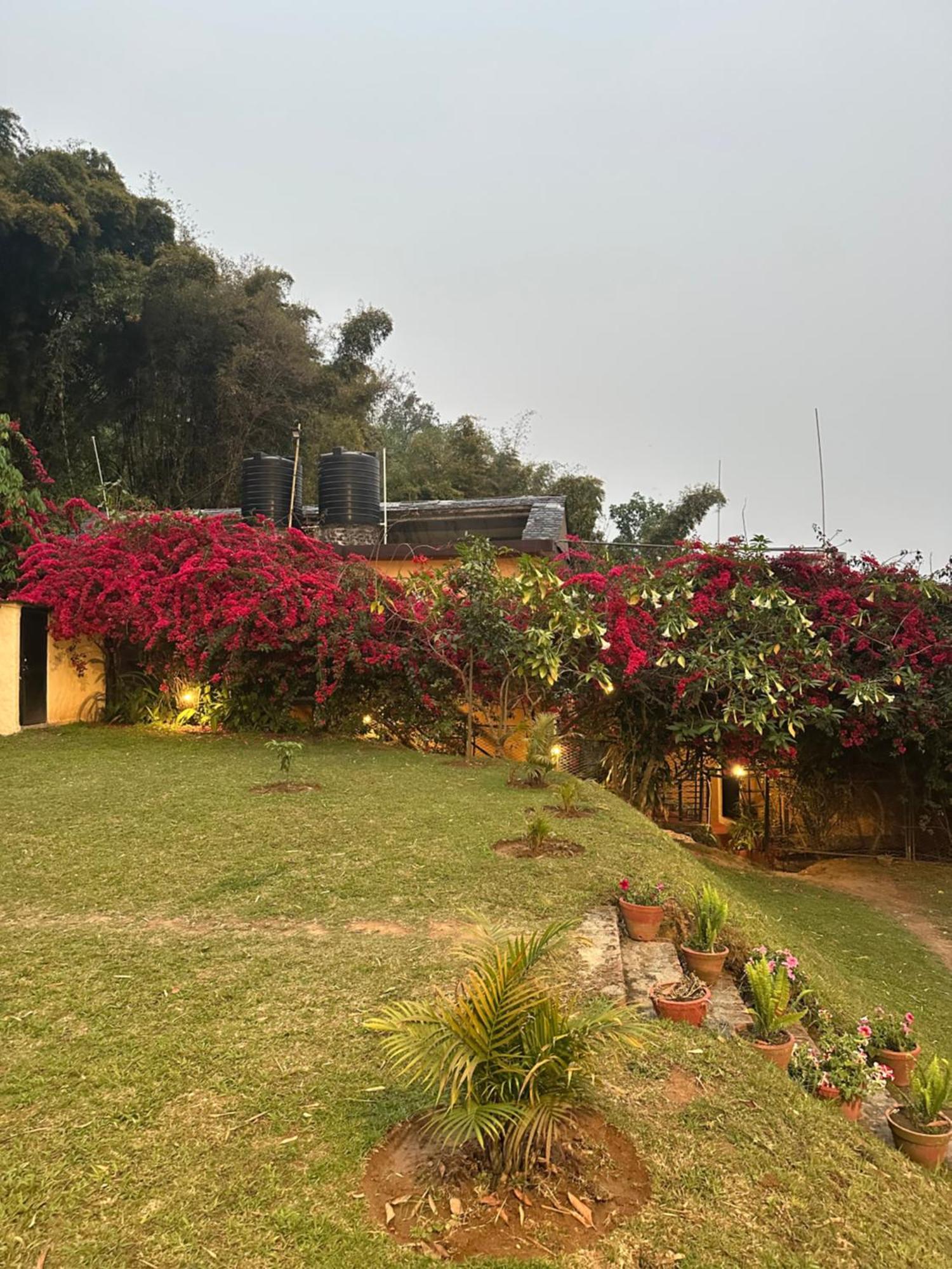 Homeland Forest Villa Pokhara Exterior photo